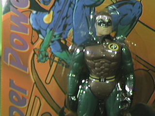 Robin