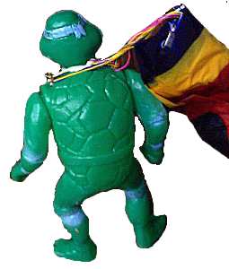 TMNT back