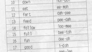 The language of the Furbish