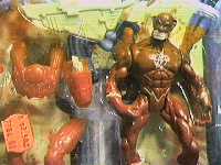 Flash